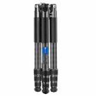 BEXIN W-334C Portable DSLR Camera 2 in 1 Carbon Fiber Tripod Detachable Monopod (Black) - 2