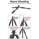 BEXIN W-334C Portable DSLR Camera 2 in 1 Carbon Fiber Tripod Detachable Monopod (Black) - 5