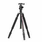 TRIOPO M2508 Multifunction Adjustable 4-Section Portable Aluminum Alloy Tripod Monopod with D-2A Ball Head for SLR Camera - 1