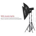TRIOPO 2.8m Height Professional Photography Metal Lighting Stand Holder for Studio Flash Light - 4
