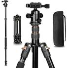 TRIOPO K2508S+B1S Adjustable Portable  Aluminum Alloy Tripod with Ball Head for SLR Camera(Gold) - 1