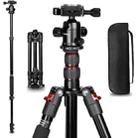 TRIOPO K2508S+B1S Adjustable Portable  Aluminum Alloy Tripod with Ball Head for SLR Camera(Red) - 1