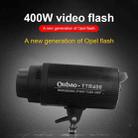 TRIOPO Oubao TTR400W Studio Flash with E27 150W Light Bulb - 9