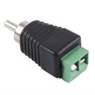 DC Power to RCA Male Adapter Connector - 1
