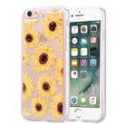 Gold Foil Style Dropping Glue TPU Soft Protective Case for iPhone 6(Sunflower) - 1