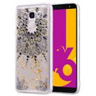 Cartoon Pattern Gold Foil Style Dropping Glue TPU Soft Protective Case for Galaxy J6 (2018)(Datura) - 1