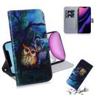 For iPhone 11 3D Colored Drawing Horizontal Flip Leather Case, with Holder & Card Slot & Wallet (Oil Painting Owl) - 1