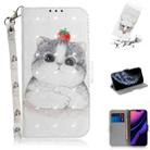 For iPhone 11 Pro 3D Colored Drawing Horizontal Flip Leather Case, with Holder & Card Slot & Wallet (Cute Cat) - 1