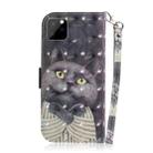 For iPhone 11 Pro Max 3D Colored Drawing Horizontal Flip Leather Case, with Holder & Card Slot & Wallet (Embrace Cat) - 3