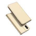 DUX DUCIS Skin Pro Series Shockproof Horizontal Flip Leather Case with Holder & Card Slots & Sleep / Wake-up Function for iPhone X / XS(Gold) - 1