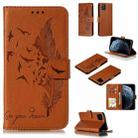 For iPhone 11 Pro Feather Pattern Litchi Texture Horizontal Flip Leather Case with Wallet & Holder & Card Slots (Brown) - 1