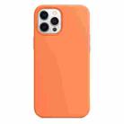 For iPhone 12 / 12 Pro Magnetic Liquid Silicone Full Coverage Shockproof Magsafe Case with Magsafe Charging Magnet(Orange) - 2