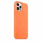 For iPhone 12 / 12 Pro Magnetic Liquid Silicone Full Coverage Shockproof Magsafe Case with Magsafe Charging Magnet(Orange) - 3