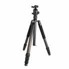 BEXIN W324C G44 Carbon Fiber Tripod Stable Shooting Camera for Video Point Dslr Camera - 1