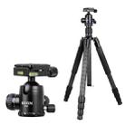 BEXIN W284C H36 Carbon Fiber Professional Photo Tripod for DSLR Camera - 1