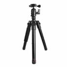 BEXIN MS12 Portable Lightweight Camera Ball Head Tripods Stand for Digital SLR DSLR camera - 1