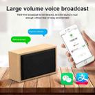 W20 Bluetooth 4.2 Simple Wooden Bluetooth Speaker(Walnut Texture) - 10