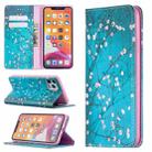 For iPhone 11 Pro Colored Drawing Pattern Invisible Magnetic Horizontal Flip PU Leather Case with Holder & Card Slots & Wallet (Plum Blossom) - 1
