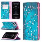 For iPhone 12 / 12 Pro Colored Drawing Pattern Invisible Magnetic Horizontal Flip PU Leather Case with Holder & Card Slots & Wallet(Plum Blossom) - 1