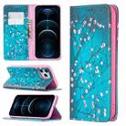For iPhone 12 Pro Max Colored Drawing Pattern Invisible Magnetic Horizontal Flip PU Leather Case with Holder & Card Slots & Wallet(Plum Blossom) - 1