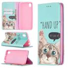 For Huawei Y5 (2019) Colored Drawing Pattern Invisible Magnetic Horizontal Flip PU Leather Case with Holder & Card Slots & Wallet(Cat) - 1