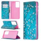 For Samsung Galaxy S20 Ultra Colored Drawing Pattern Invisible Magnetic Horizontal Flip PU Leather Case with Holder & Card Slots & Wallet(Plum Blossom) - 1
