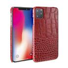 For iPhone 11 Head-layer Cowhide Leather Crocodile Texture Protective Case (Red) - 1