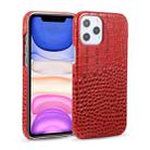 For iPhone 12 mini Head-layer Cowhide Leather Crocodile Texture Protective Case (Red) - 1