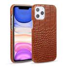 For iPhone 12 mini Head-layer Cowhide Leather Crocodile Texture Protective Case (Brown) - 1