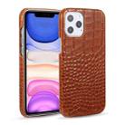 Head-layer Cowhide Leather Crocodile Texture Protective Case For iPhone 12 / 12 Pro(Brown) - 1