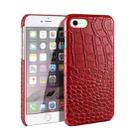 For iPhone SE 2022 / SE 2020 / 8 / 7 Head-layer Cowhide Leather Crocodile Texture Protective Case(Red) - 1