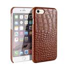 For iPhone SE 2022 / SE 2020 / 8 / 7 Head-layer Cowhide Leather Crocodile Texture Protective Case(Brown) - 1