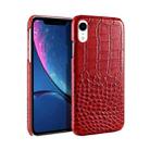 Head-layer Cowhide Leather Crocodile Texture Protective Case For iPhone XR(Red) - 1