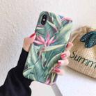 For iPhone XR Painted IMD Matte TPU Phone Protective Case(Banana Leaf) - 1