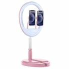 HXGO HX-L012 3000-6000K 123 LEDs Retractable Foldable Live Broadcast Selfie Beauty Fill Light Lamp Bracket with Remote Control(Pink) - 1