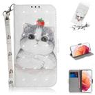 For Samsung Galaxy S21 5G 3D Colored Drawing Horizontal Flip Leather Case with Holder & Card Slots & Wallet & Lanyard(Cute Cat) - 1