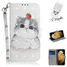 For Samsung Galaxy S21 Ultra 5G 3D Colored Drawing Horizontal Flip Leather Case with Holder & Card Slots & Wallet & Lanyard(Cute Cat) - 1
