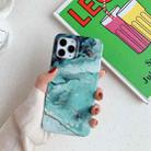 For iPhone 11 Pro Max Golden Circle Marble Pattern Dual-side Laminating TPU Case (Ink Green) - 1