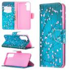 For Samsung Galaxy S21+ 5G Colored Drawing Pattern Horizontal Flip Leather Case with Holder & Card Slots & Wallet(Plum Blossom) - 1