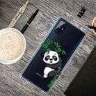 For OnePlus Nord N10 5G Colored Drawing Clear TPU Protective Cases(Panda) - 1