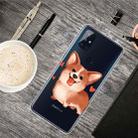 For OnePlus Nord N10 5G Colored Drawing Clear TPU Protective Cases(Love Corgi) - 1