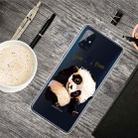 For OnePlus Nord N100 Colored Drawing Clear TPU Protective Cases(Tilted Head Panda) - 1