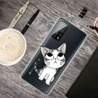 For Xiaomi Mi 10T Pro Colored Drawing Clear TPU Protective Cases(Tilted Head Cat) - 1