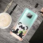 For Xiaomi Mi 10T Lite 5G Shockproof Painted Transparent TPU Protective Case(Takekuma) - 1