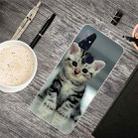 For OnePlus Nord N100 Shockproof Painted Transparent TPU Protective Case(Sitting Cat) - 1