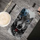 For iPhone 12 Pro Max Shockproof Painted Transparent TPU Protective Case(Mountain Wolf) - 1