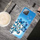 For Huawei Nova 8 SE Shockproof Painted Transparent TPU Protective Case(Blue Butterfly) - 1