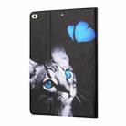 Colored Drawing Horizontal Flip Leather Case with Holder & Card Slots & Sleep / Wake-up Function For iPad Mini 5/4/3/2/1(Butterfly Cat) - 3
