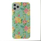 For iPhone 12 / 12 Pro Painted IMD Frosted White Edge TPU Phone Case(Green) - 1