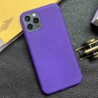 For iPhone 12 / 12 Pro Shockproof Frosted TPU Transparent Protective Case(Purple) - 1